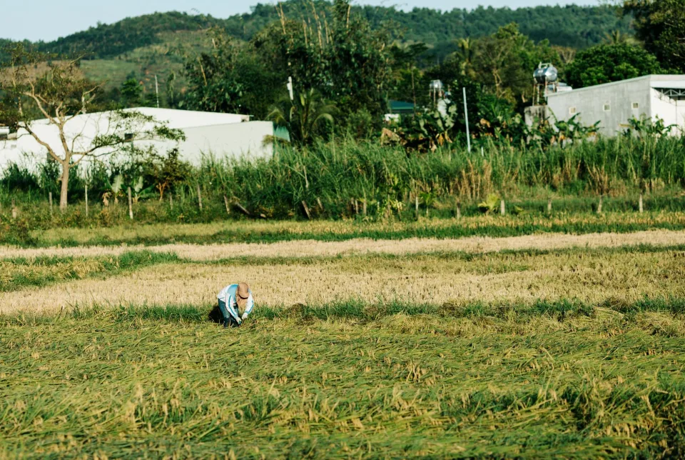 Kho gạo của Đặng Ngọc Tới